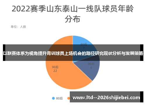 以联赛体系为视角提升青训球员上场机会的路径研究现状分析与发展策略