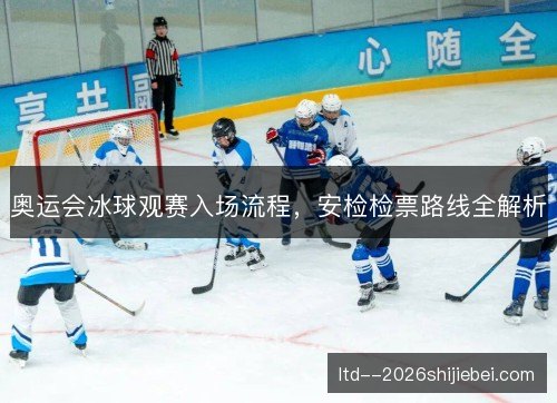 奥运会冰球观赛入场流程，安检检票路线全解析
